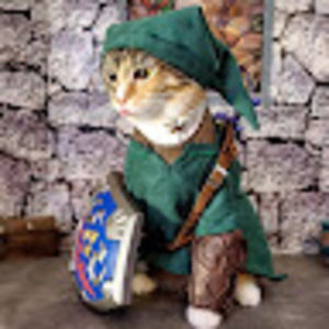 Meet your Posher, Shelly